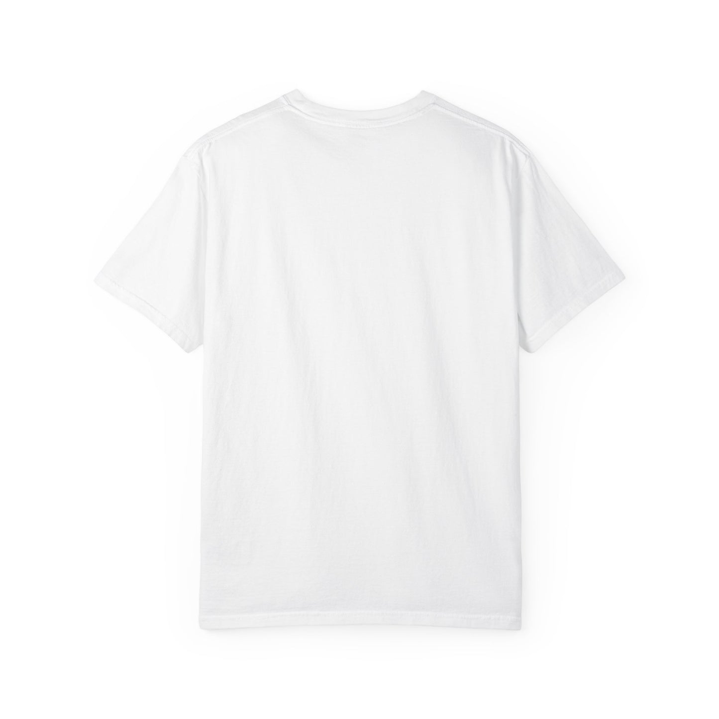 Unisex Garment-Dyed T-shirt - REGITJ FASHION