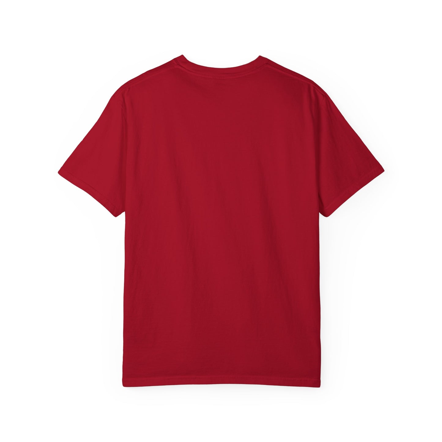 REGITJ Prime Unisex Garment-Dyed T-shirt