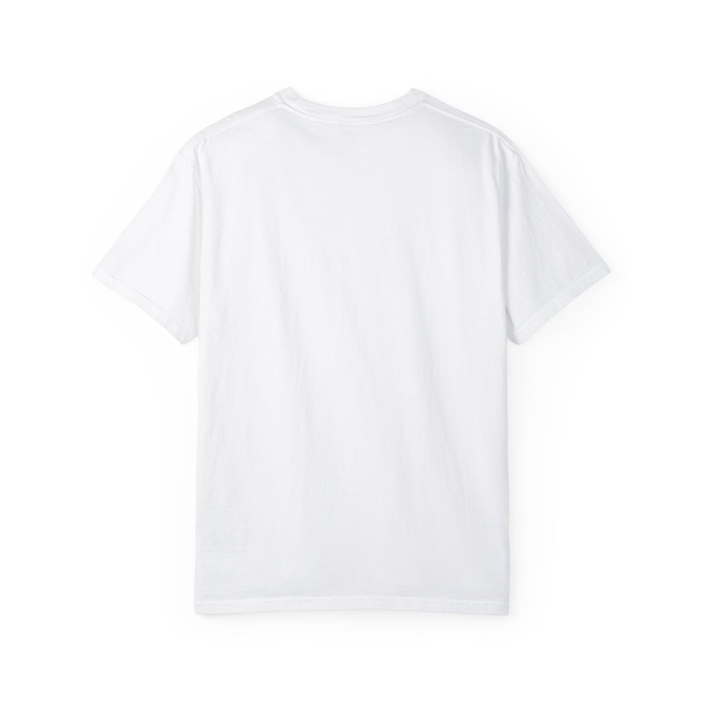 REGITJ Prime Unisex Garment-Dyed T-shirt