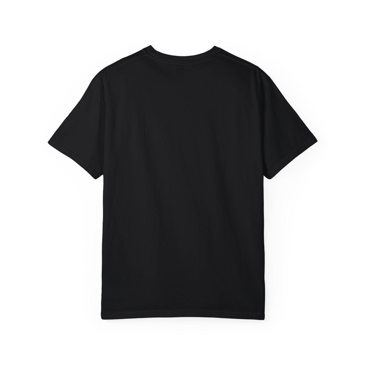 REGITJ Prime Unisex Garment-Dyed T-shirt
