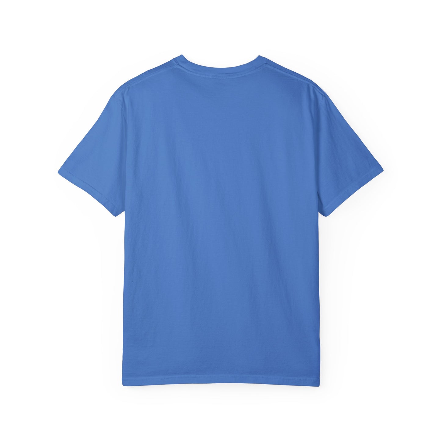 REGITJ Prime Unisex Garment-Dyed T-shirt