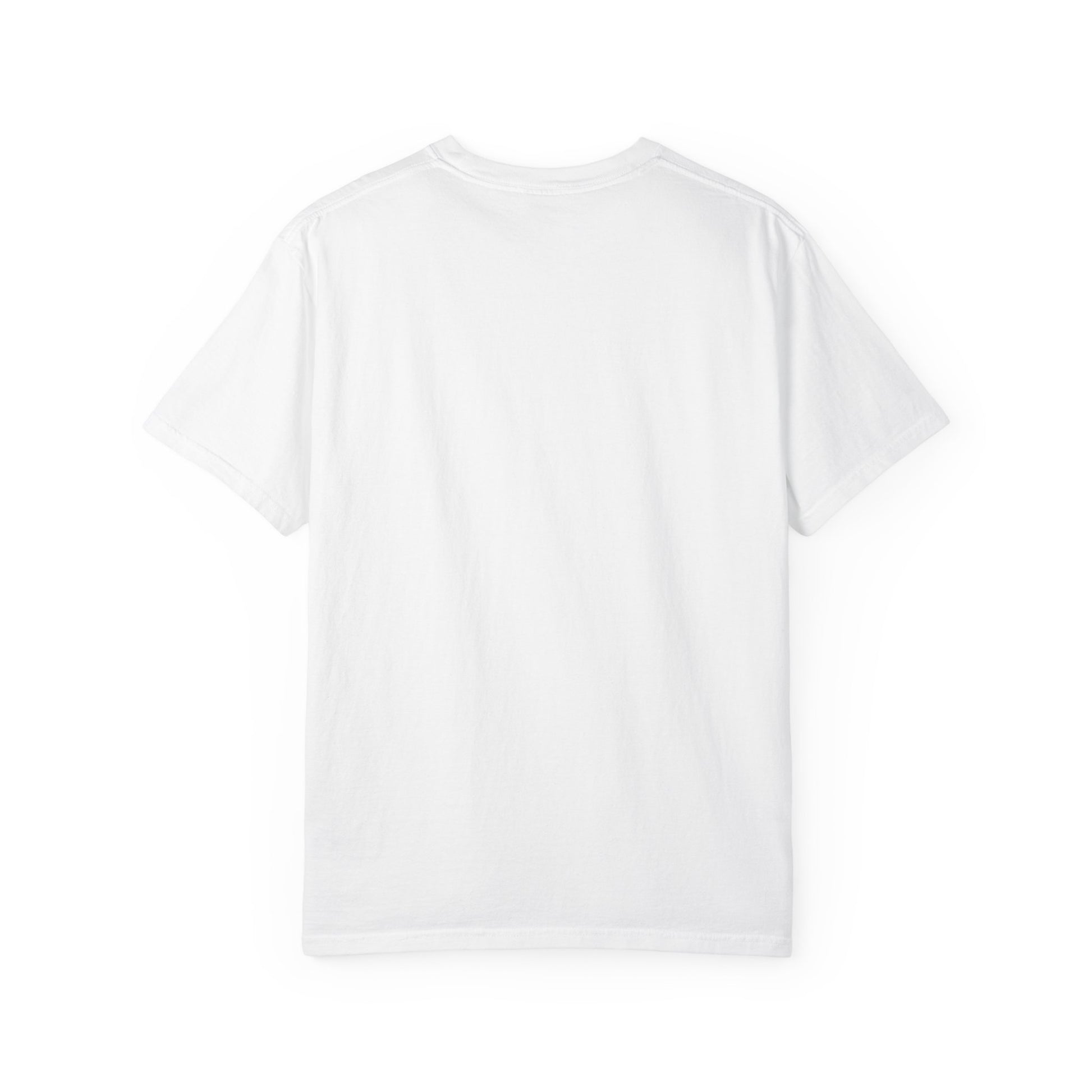 Unisex Garment-Dyed T-shirt - REGITJ FASHION 
