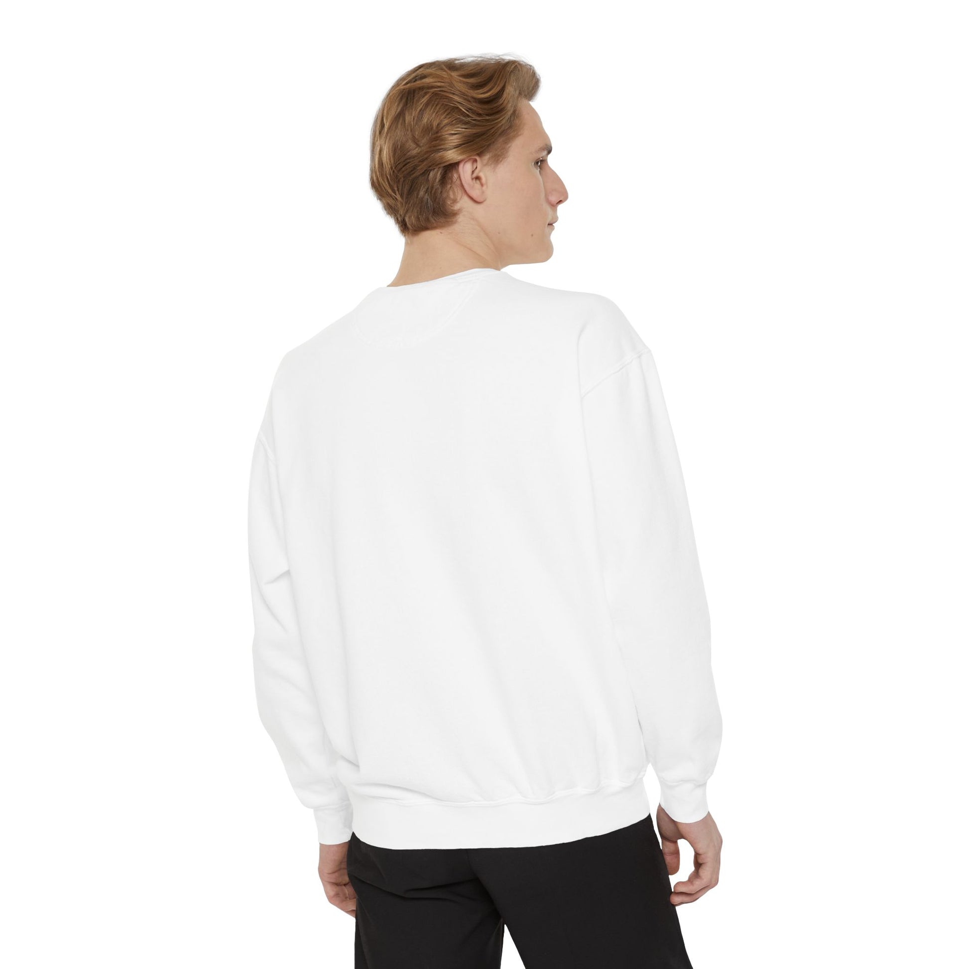 REGITJ 60MOP Unisex Garment-Dyed Sweatshirt