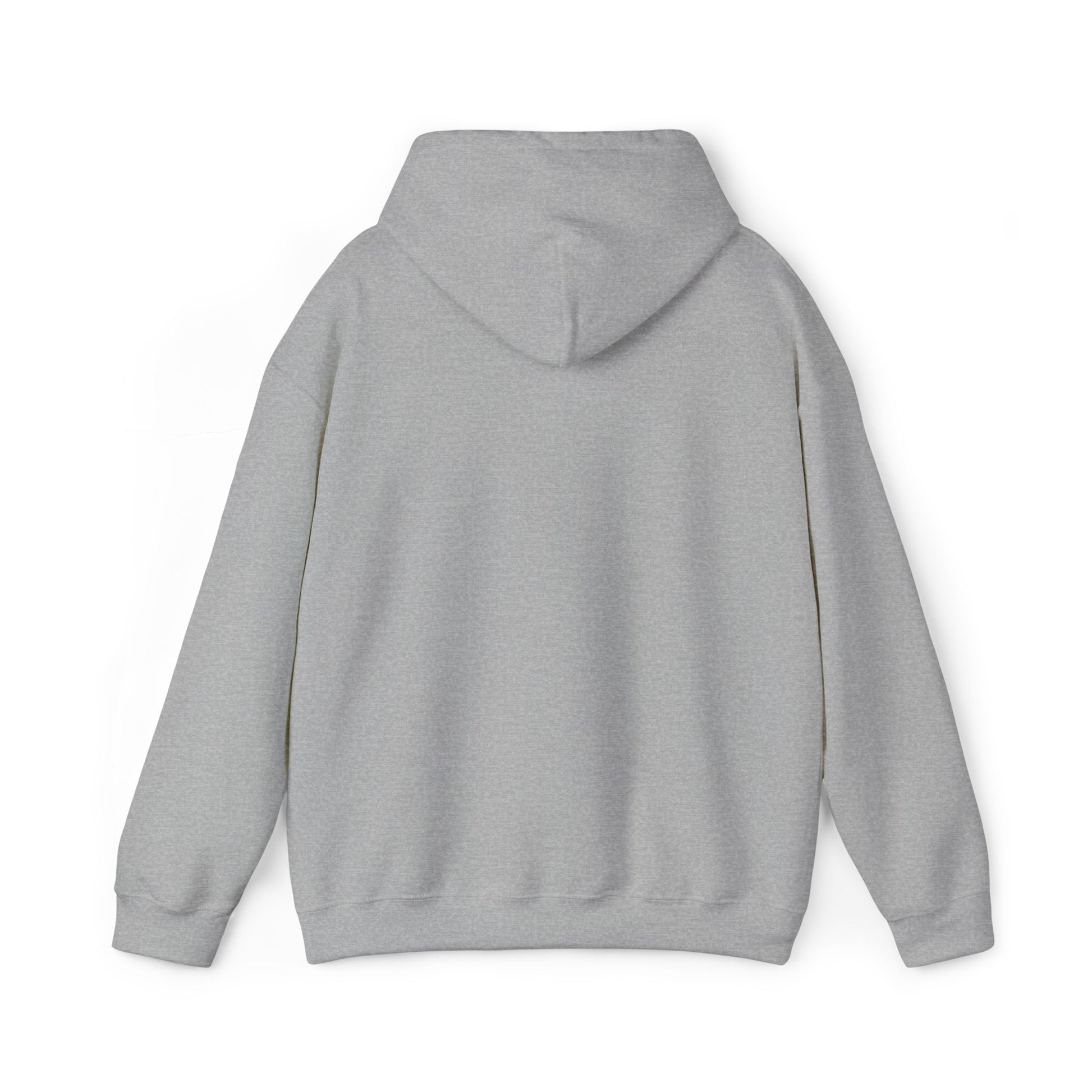 Unisex Heavy Blend™ Hooded Sweatshirt - REGITJ FASHION 