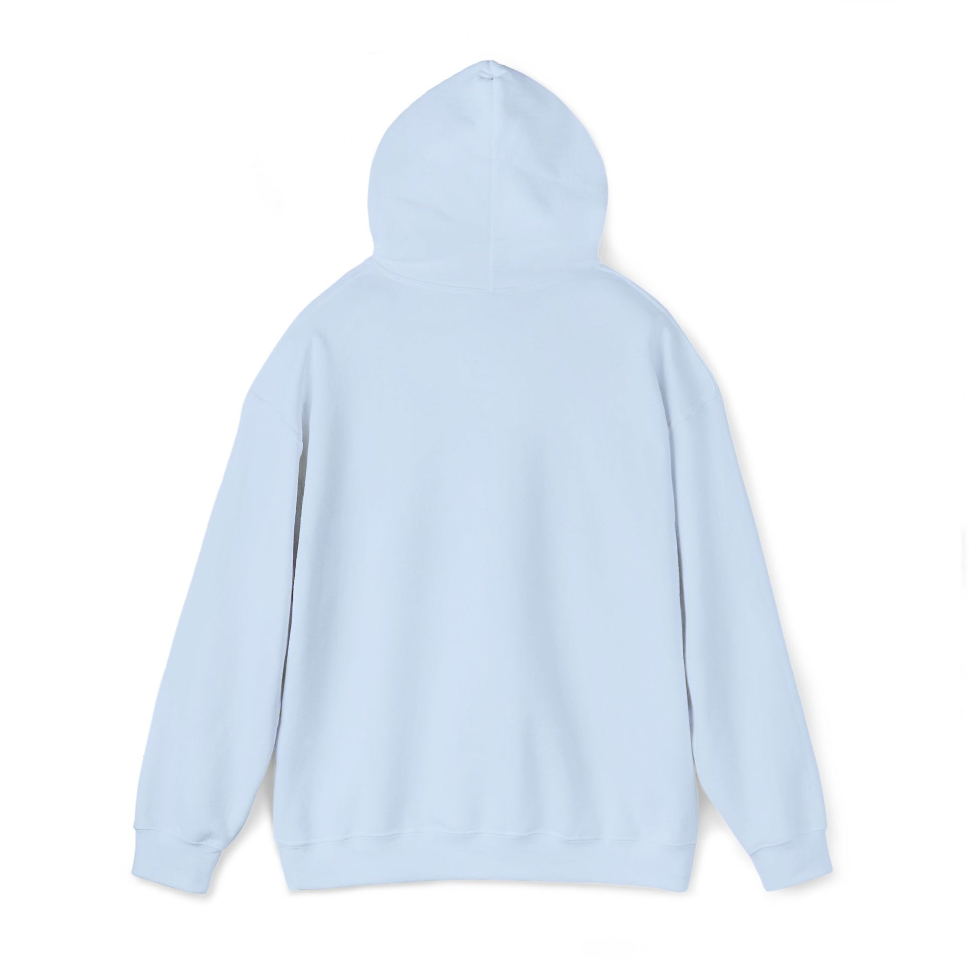 Unisex Heavy Blend™ Hooded Sweatshirt - REGITJ FASHION 