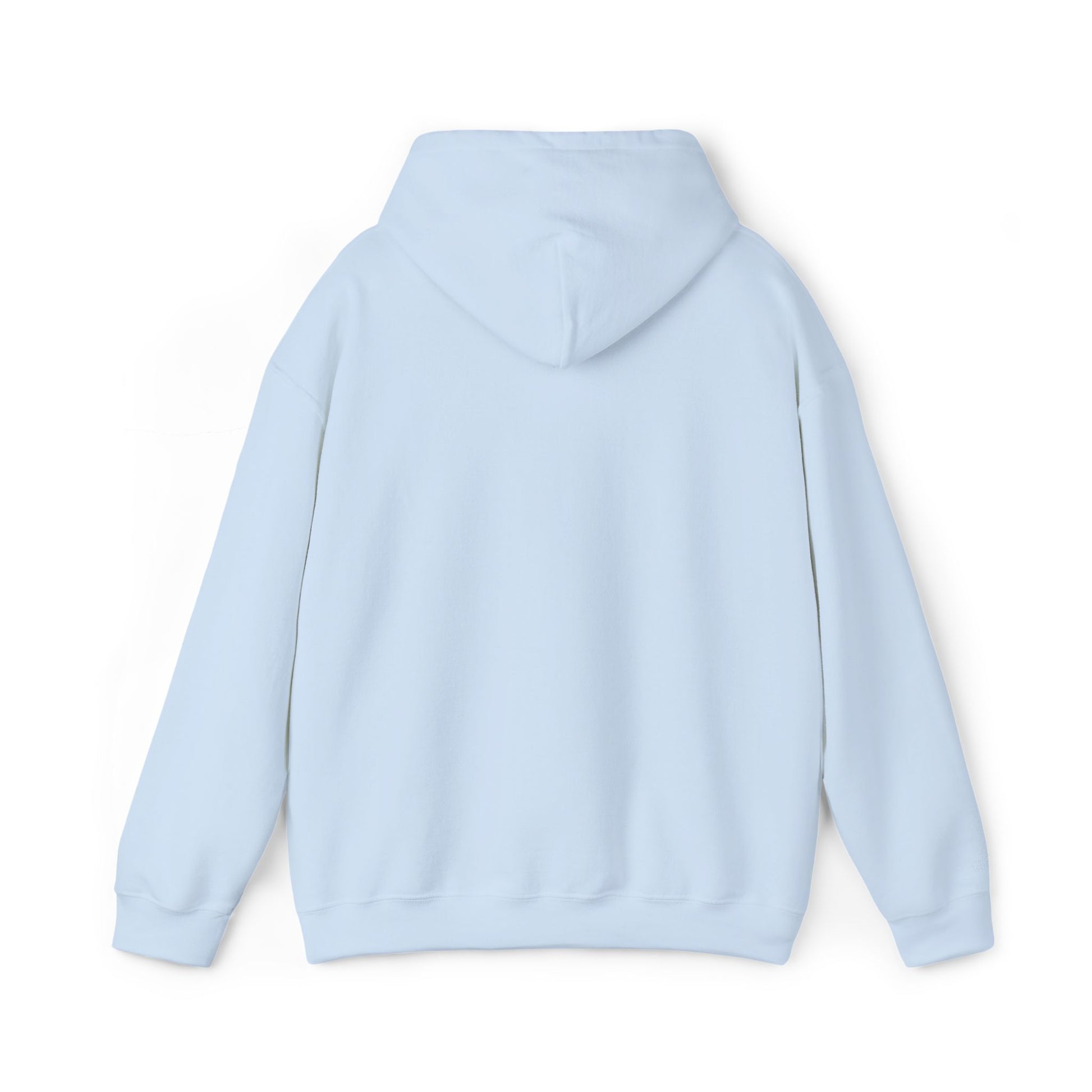 Unisex Heavy Blend™ Hooded Sweatshirt - REGITJ FASHION 