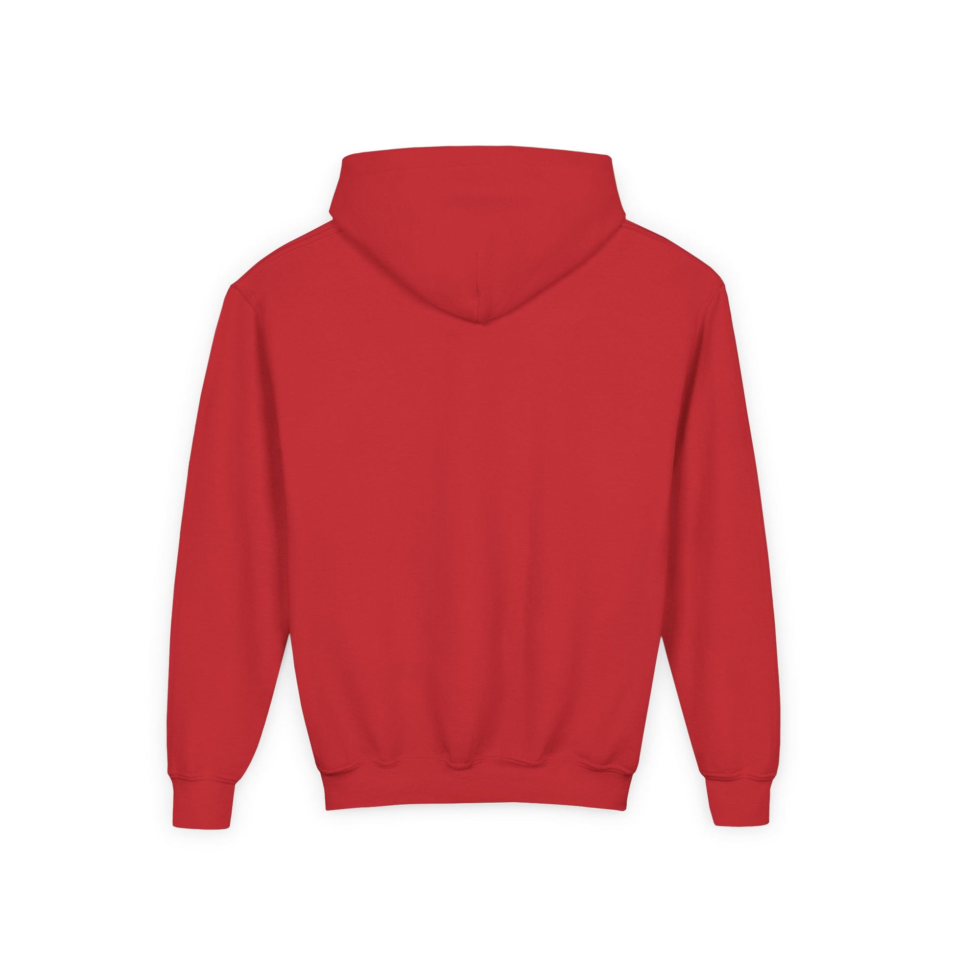 Youth Heavy Blend Hooded Sweatshirt - REGITJ FASHION 