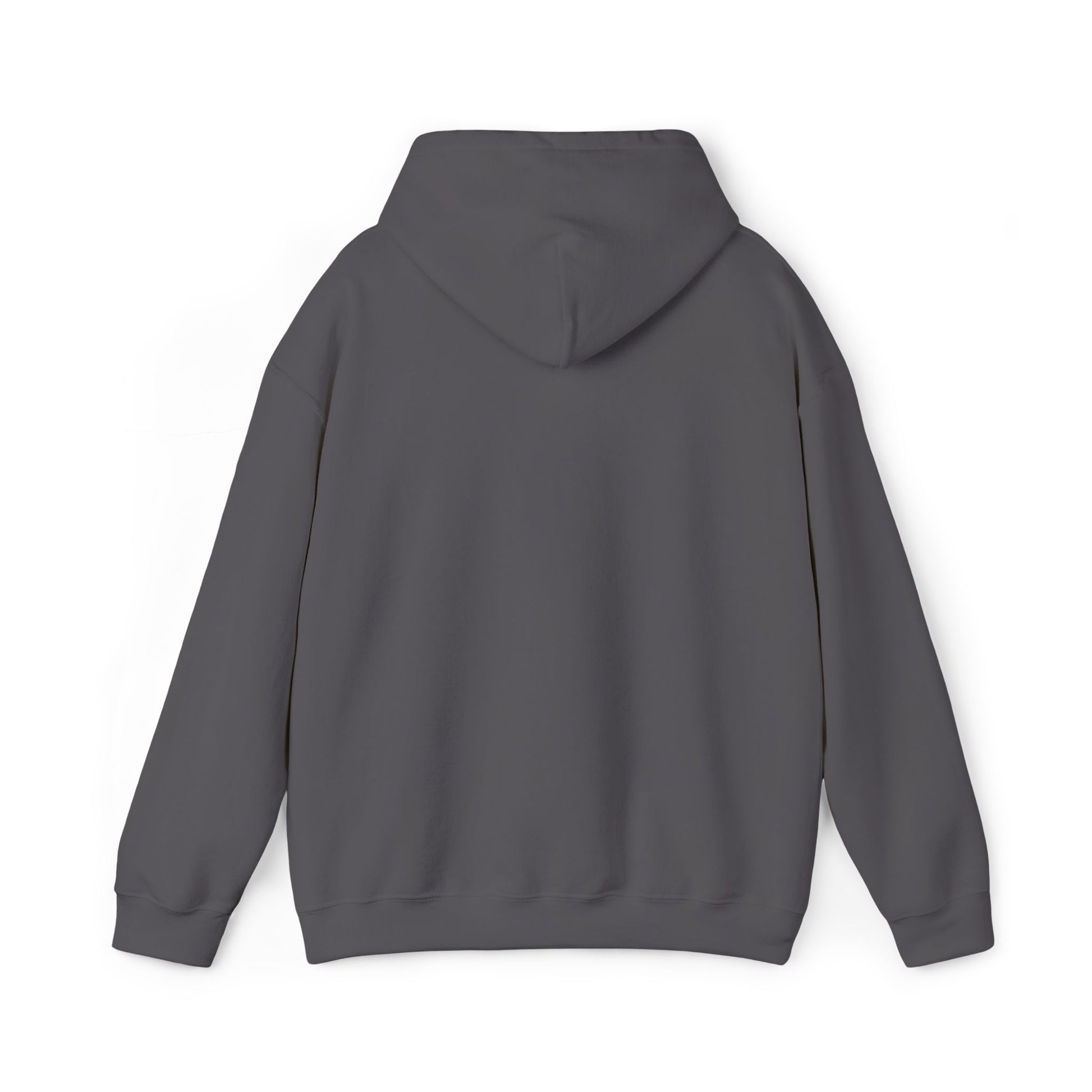 Unisex Heavy Blend™ Hooded Sweatshirt - REGITJ FASHION 
