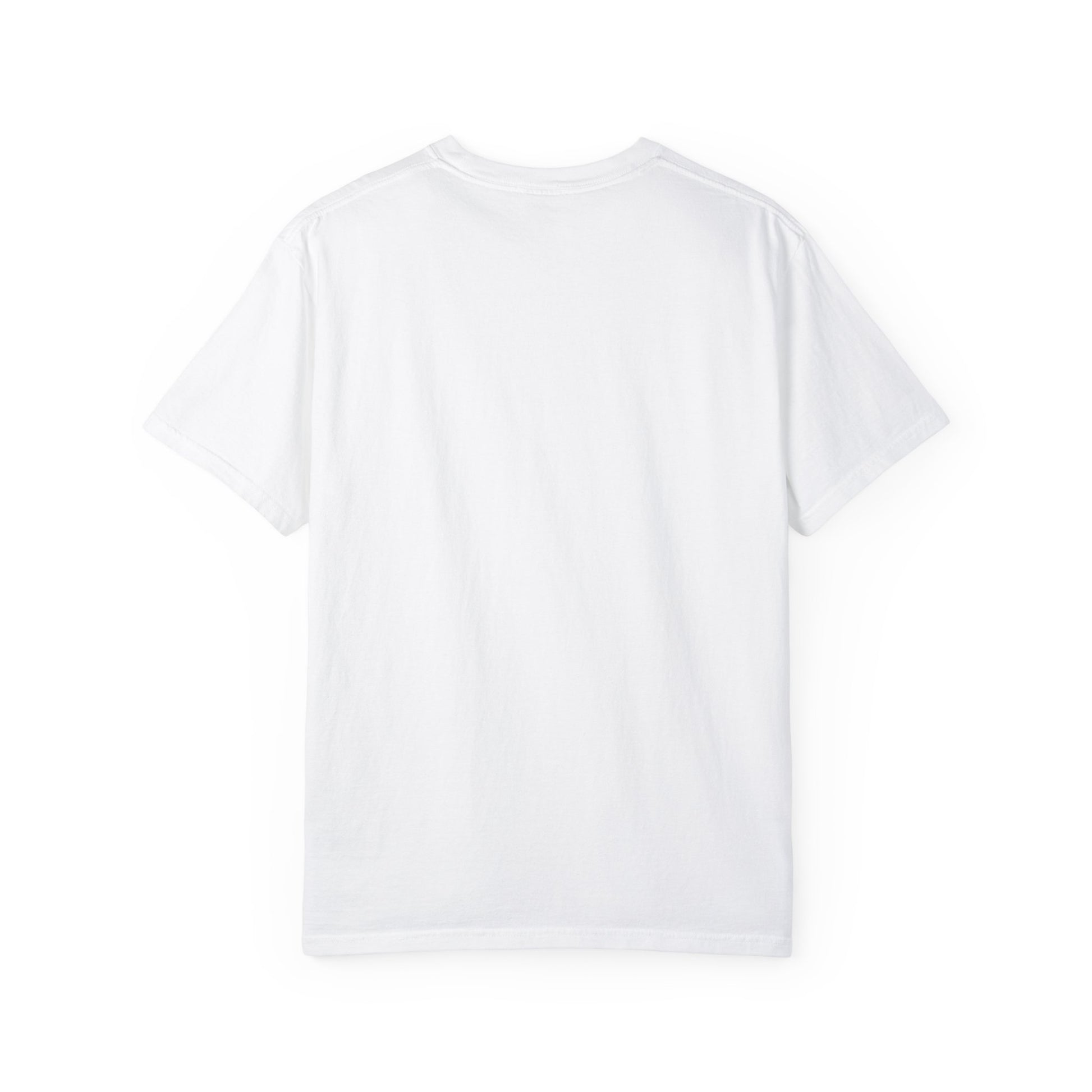 REGITJ Prime Unisex Garment-Dyed T-shirt