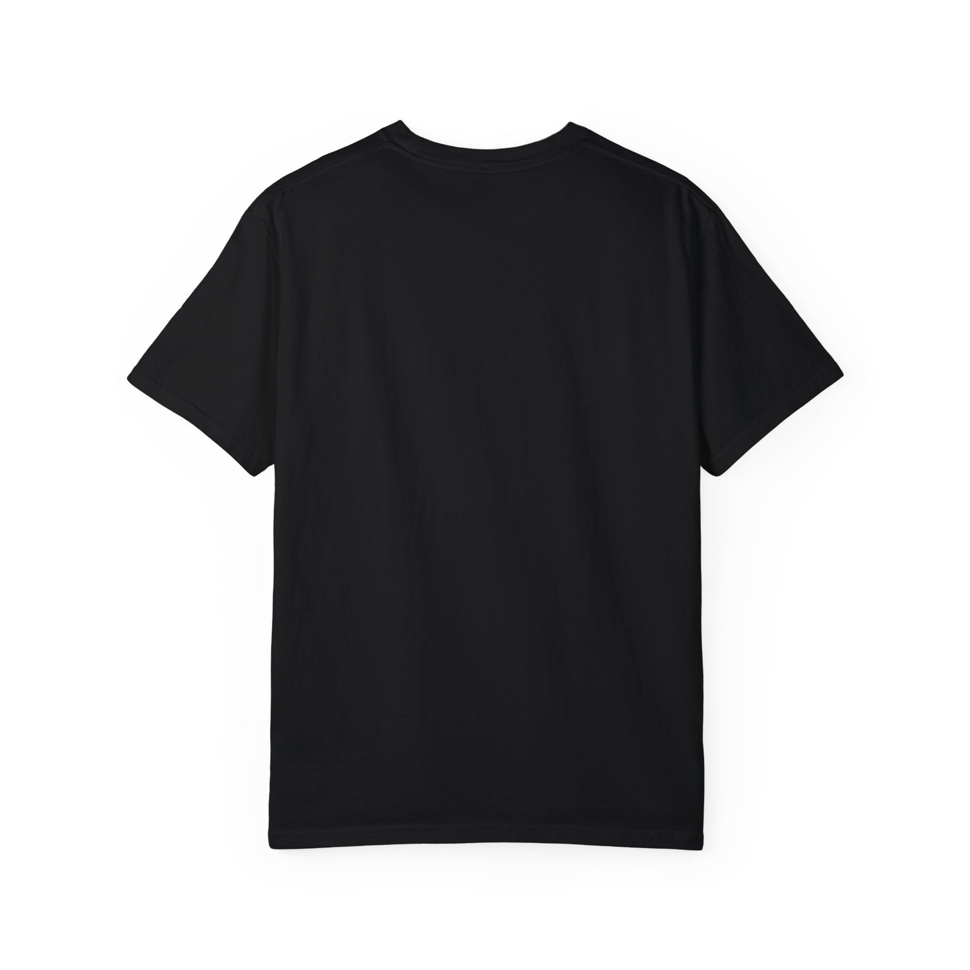 REGITJ Prime Unisex Garment-Dyed T-shirt