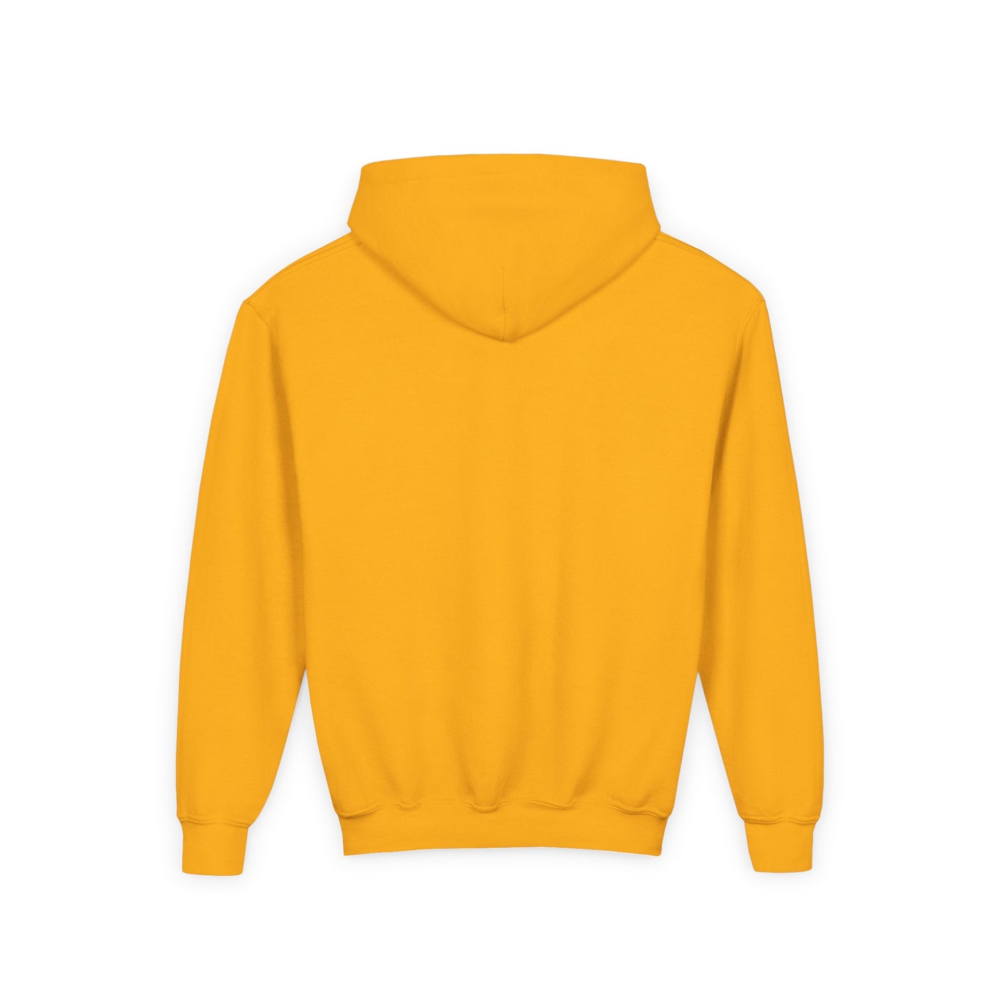 Youth Heavy Blend Hooded Sweatshirt - REGITJ FASHION 