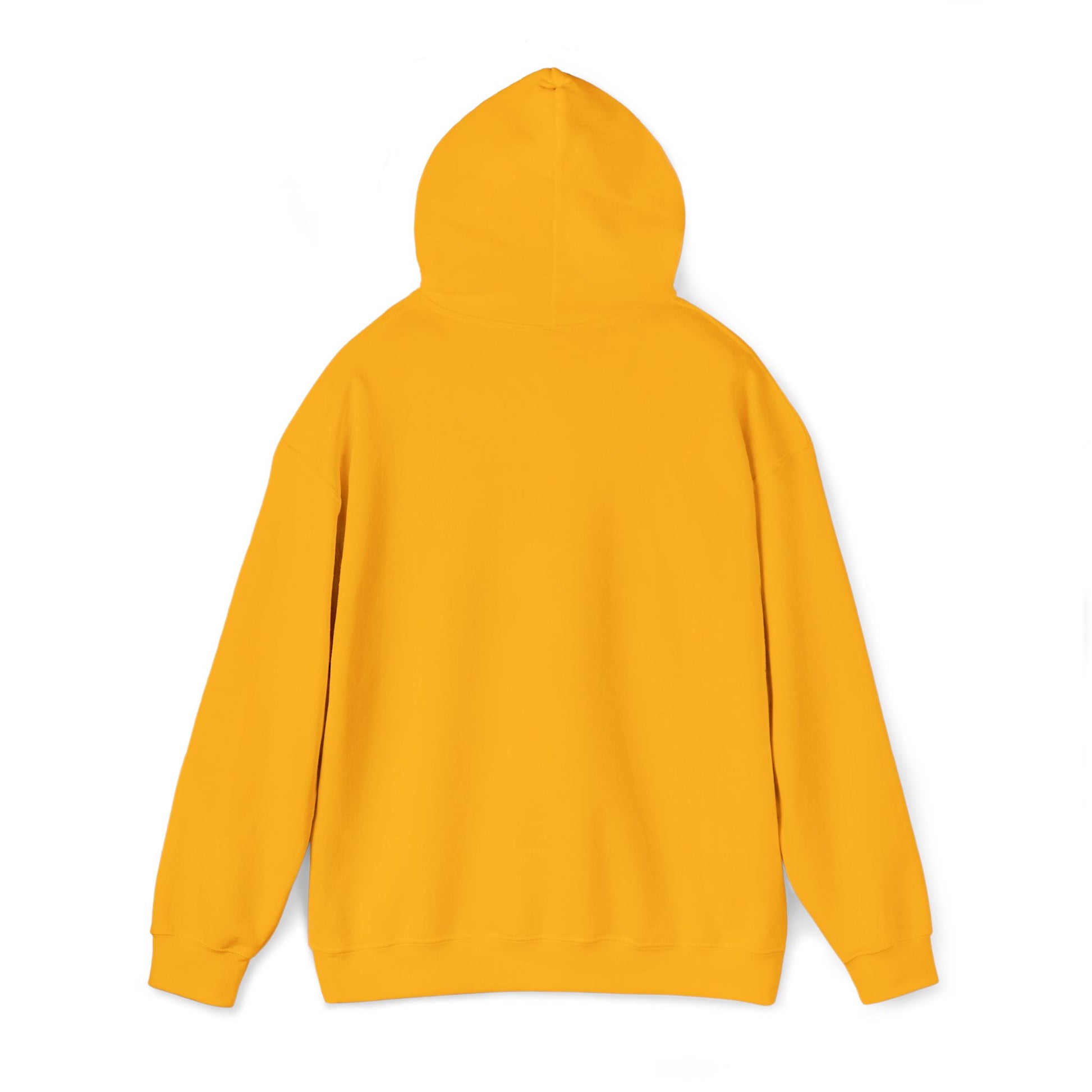 Unisex Heavy Blend™ Hooded Sweatshirt - REGITJ FASHION 