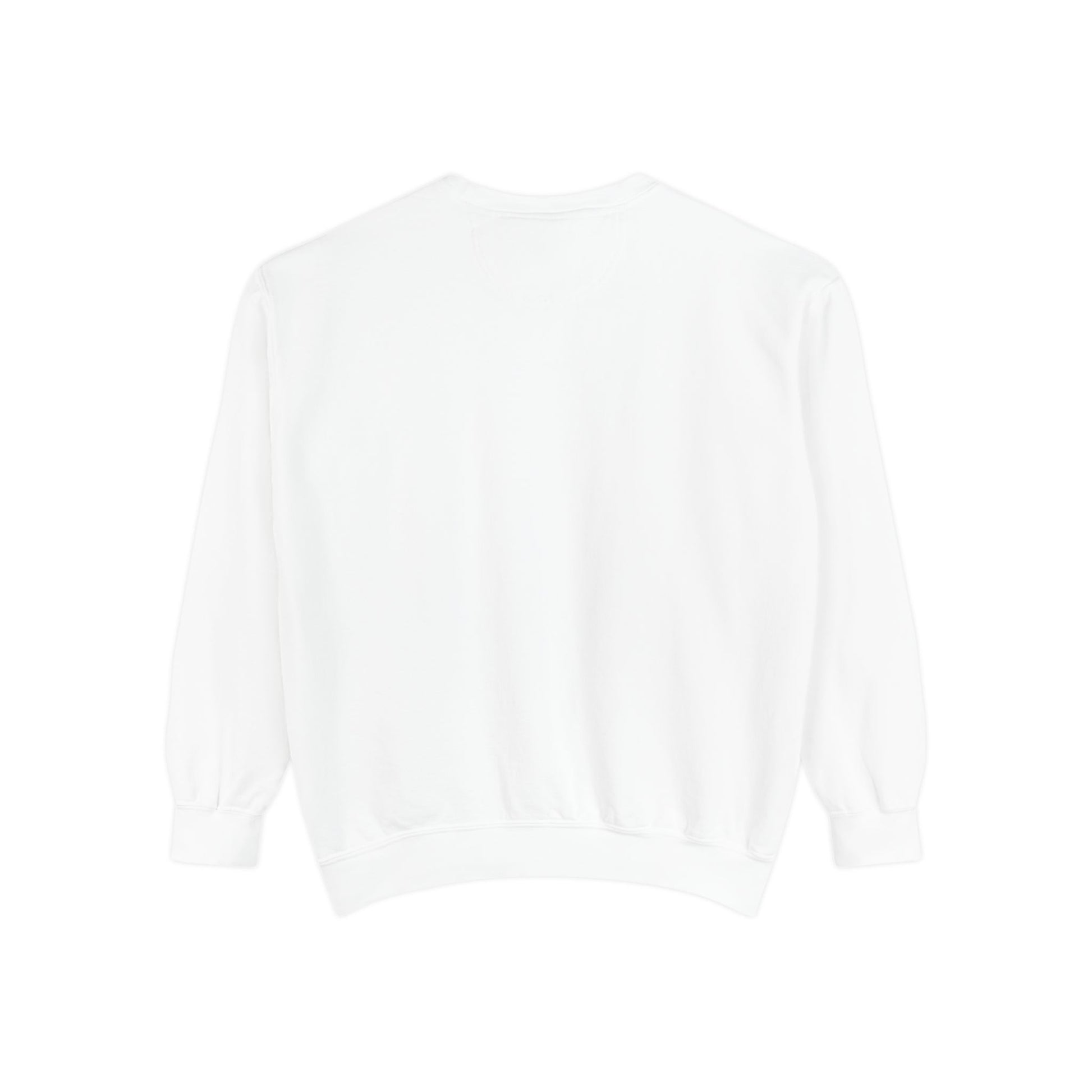 REGITJ 60MOP Unisex Garment-Dyed Sweatshirt