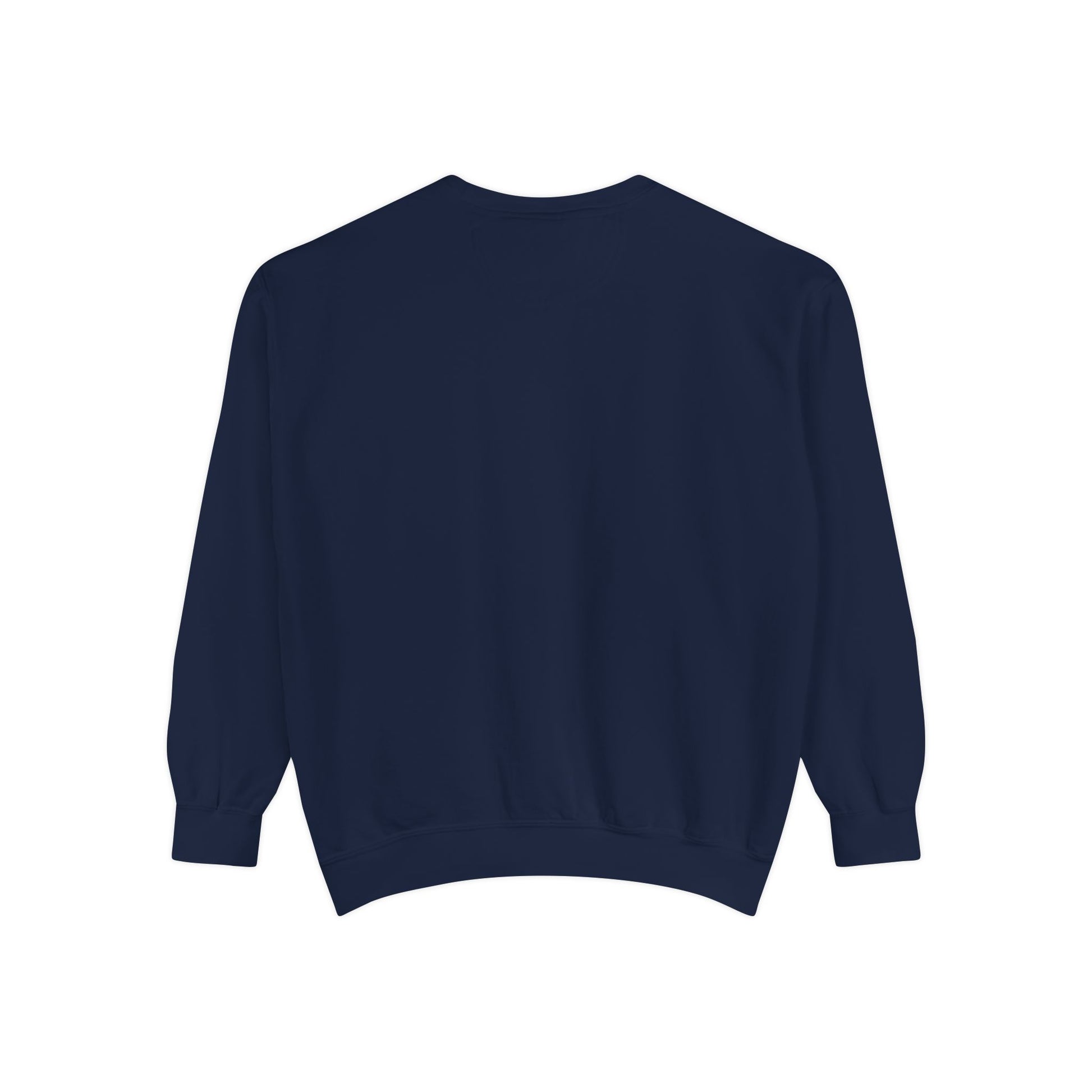 REGITJ 60MOP Unisex Garment-Dyed Sweatshirt