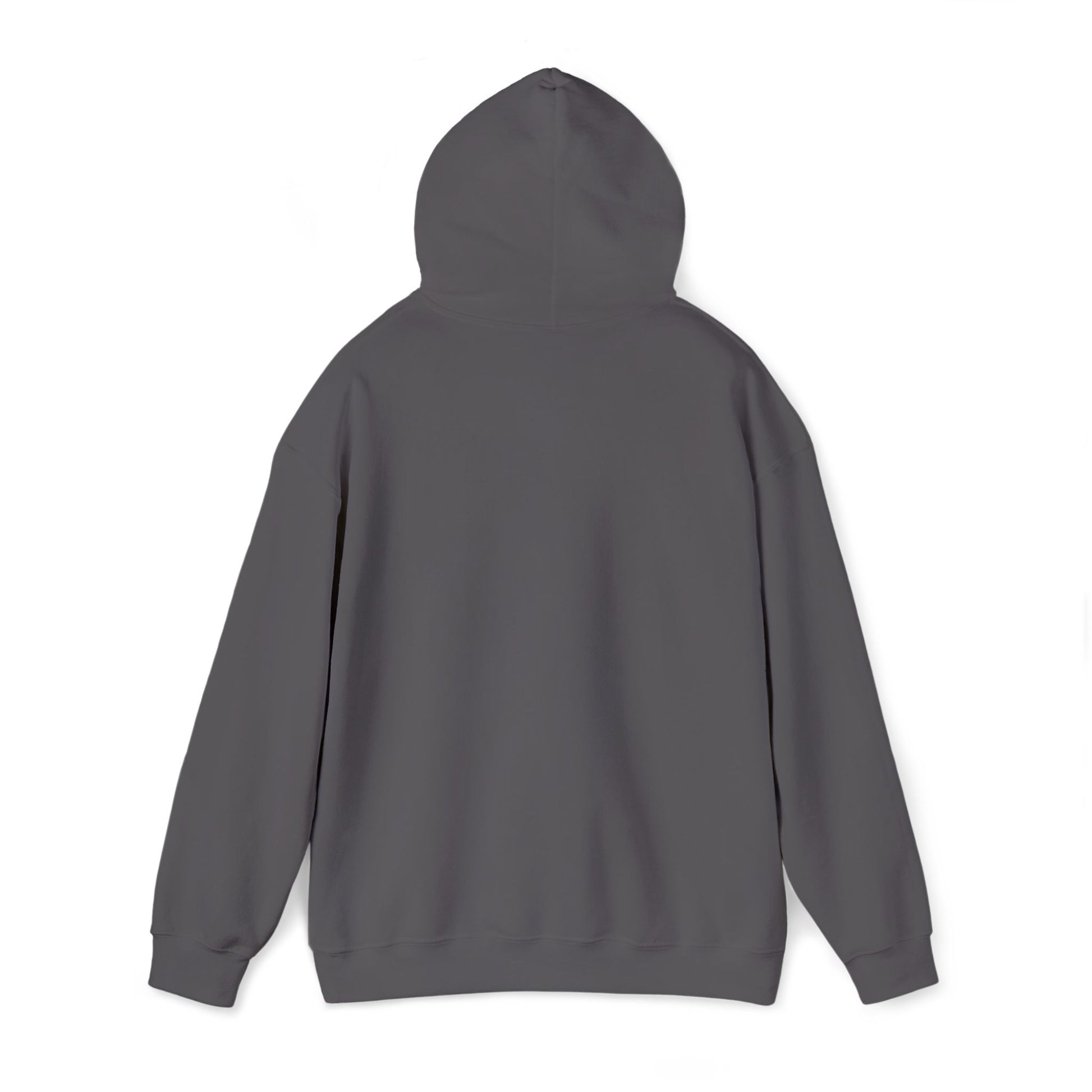 Unisex Heavy Blend™ Hooded Sweatshirt - REGITJ FASHION 