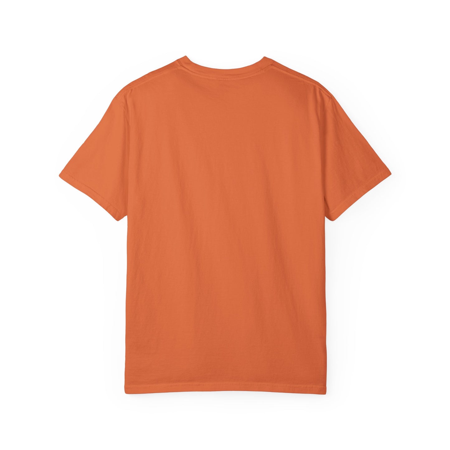 REGITJ Prime Unisex Garment-Dyed T-shirt
