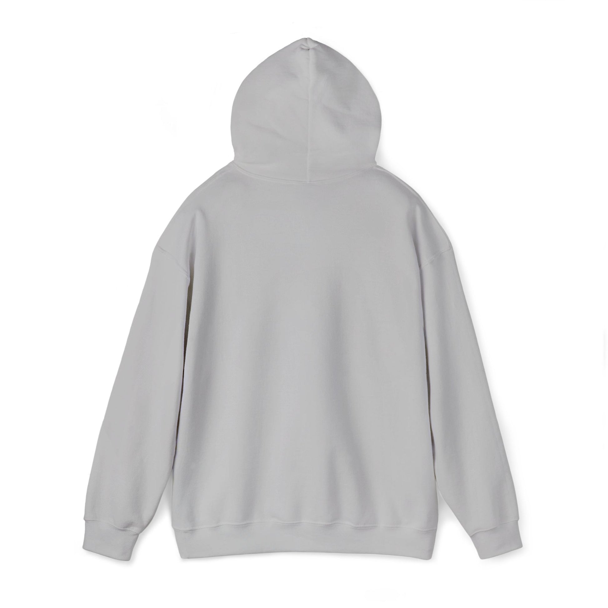 Unisex Heavy Blend™ Hooded Sweatshirt - REGITJ FASHION 